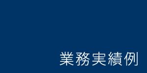 業務実績例